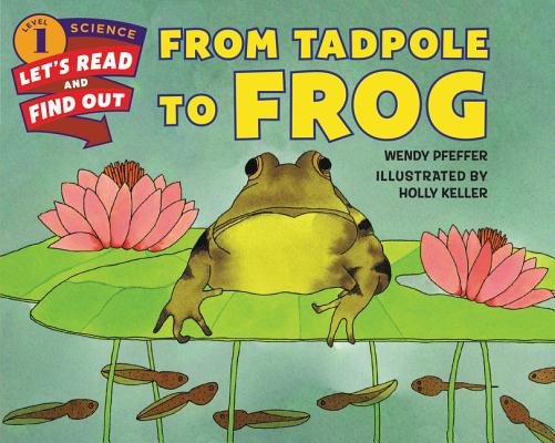 From Tadpole to Frog