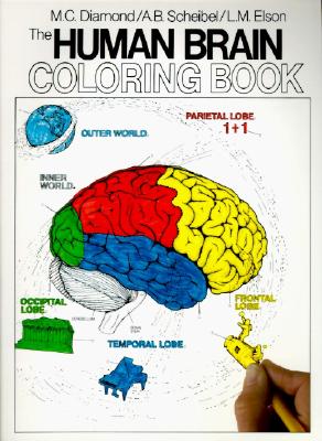 The Human Brain Coloring Book