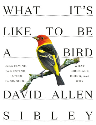 What It's Like to Be a Bird: From Flying to Nesting, Eating to Singing--What Birds Are Doing, and Why