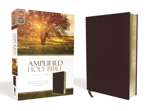 Amplified Bible-Am: Captures the Full Meaning Behind the Original Greek and Hebrew