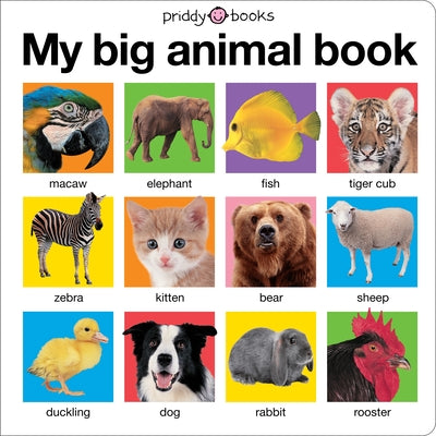 My Big Animal Book