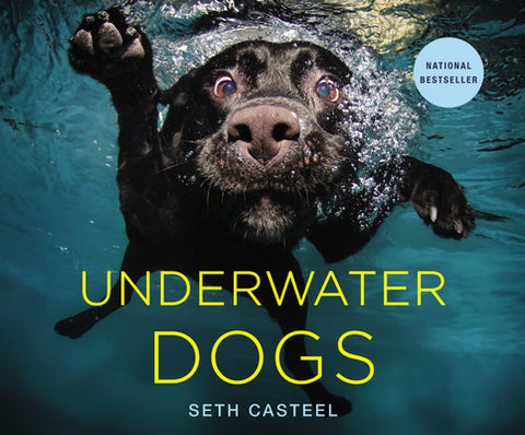 Underwater Dogs