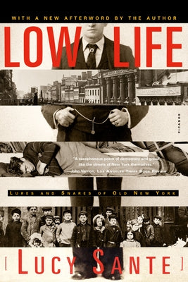 Low Life: Lures and Snares of Old New York