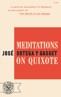 Meditations on Quixote