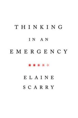 Thinking in an Emergency