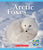 Arctic Foxes (Nature's Children)