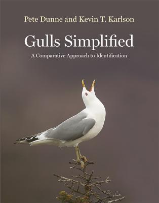 Gulls Simplified: A Comparative Approach to Identification