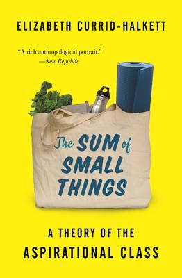 The Sum of Small Things: A Theory of the Aspirational Class