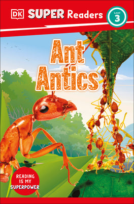 DK Super Readers Level 3 Ant Antics