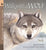 Walk with a Wolf: Read and Wonder