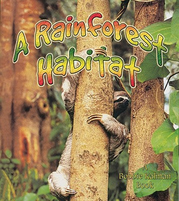 A Rainforest Habitat