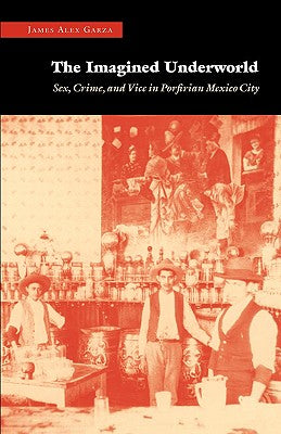 The Imagined Underworld: Sex, Crime, and Vice in Porfirian Mexico City