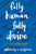 Fully Human, Fully Divine: An Advent Devotional for the Whole Self