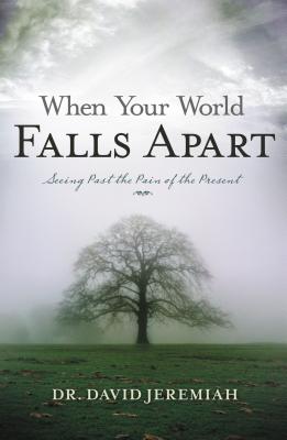 When Your World Falls Apart: See Past the Pain of the Present