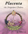 Placenta - the Forgotten Chakra