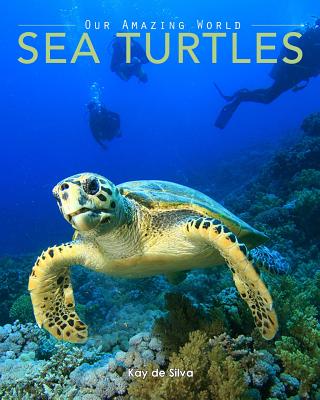 Sea Turtles: Amazing Pictures & Fun Facts on Animals in Nature