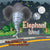 Elephant Wind: A Tornado Safety Book