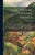 The State of Central America; Their Geography, Topography, Climate, Population, Resources, Productions, Commerce, Political Organization, Aborigines,