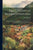 The Colony of British Honduras: Its Resources and Prospects; With Particular Reference to Its Indigenous Plants and Economic Productions