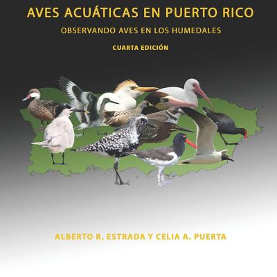 Aves Acuáticas En Puerto Rico: Observando Aves en los Humedales