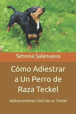 Cómo Adiestrar a Un Perro de Raza Teckel: Adiestramiento Fácil de un Teckel