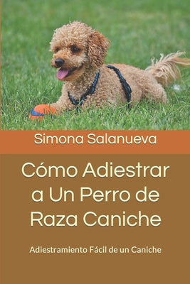 Cómo Adiestrar a Un Perro de Raza Caniche: Adiestramiento Fácil de un Caniche