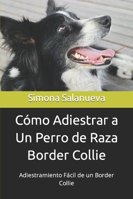 Cómo Adiestrar a Un Perro de Raza Border Collie: Adiestramiento Fácil de un Border Collie