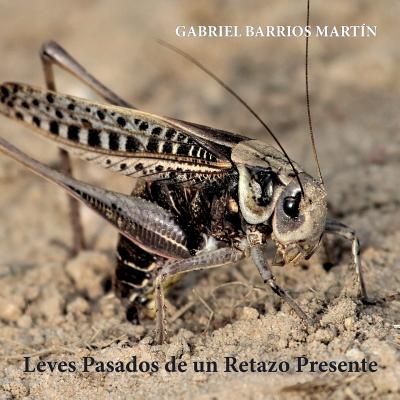 Leves Pasados de Un Retazo Presente