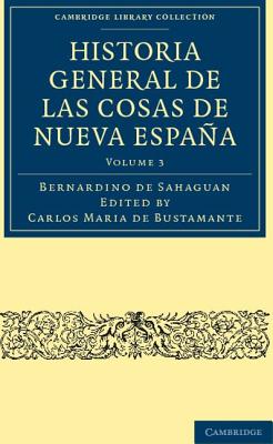 Historia General de las Cosas de Nueva España - Volume 3