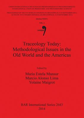 Traceology Today: Methodological Issues in the Old World and the Americas