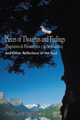 Pieces of Thoughts and Feelings (Fragmentos de Pensamientos y de Sentimientos): And Other Reflections of the Soul