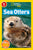 Sea Otters