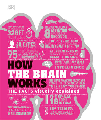 How the Brain Works: The Facts Visually Explained