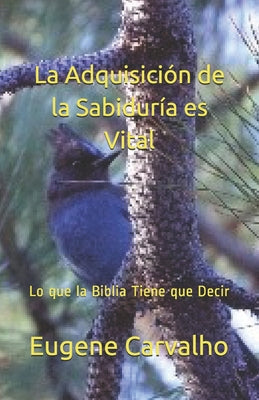 La Adquisición de la Sabiduría es Vital: Lo que la Biblia Tiene que Decir