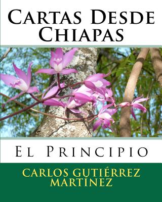 Cartas Desde Chiapas: El Principio