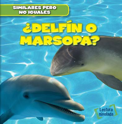 ¿Delfín O Marsopa? (Dolphin or Porpoise?)