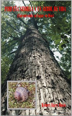 Pequeña Semilla a un Árbol de Vida: Encontrando su Lugar en Dios