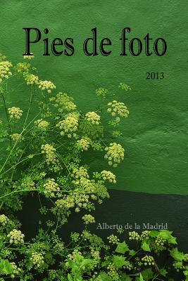 Pies de foto 2013