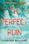 The Perfect Ruin: A Riveting New Psychological Thriller