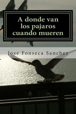 A donde van los pajaros cuando mueren: Una historia de amor en el cielo