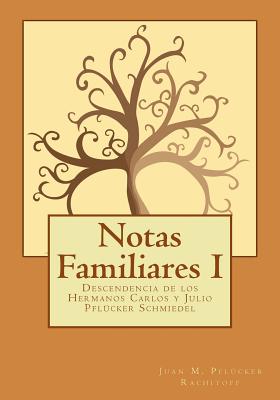 Notas Familiares: Descendencia de los Hermanos Carlos y Julio Pflücker Schmiedel