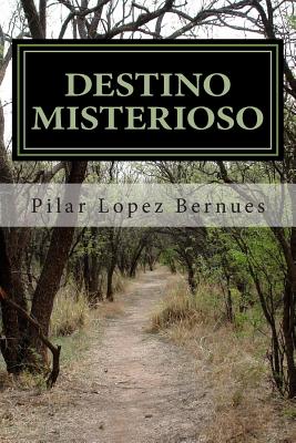 DESTINO MISTERIOSO (Maquinaciones de Mr. Burch 1)