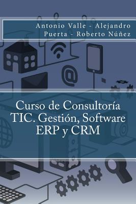 Curso de Consultoría TIC. Gestión, Software ERP y CRM