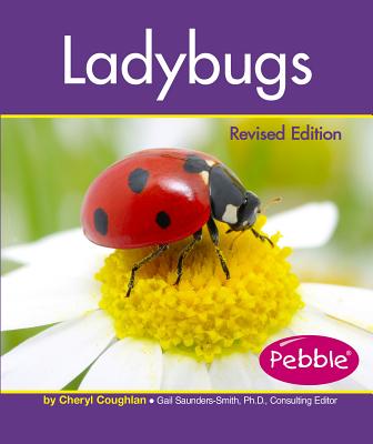 Ladybugs