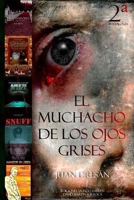 El muchacho de los ojos grises 2