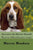 Secretos del Basset Hound: Perro-Obediente.com