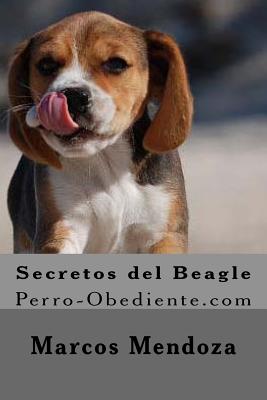 Secretos del Beagle: Perro-Obediente.com