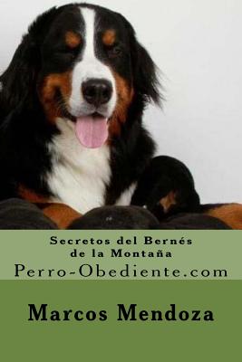 Secretos del Bernes de la Montaña: Perro-Obediente.com