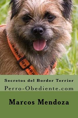 Secretos del Border Terrier: Perro-Obediente.com