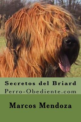 Secretos del Briard: Perro-Obediente.com